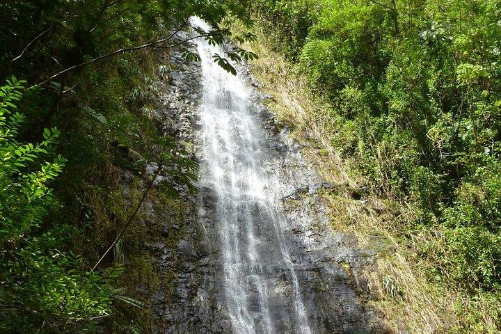 Diamond Head og Manoa Falls vandre- og eventyrtur