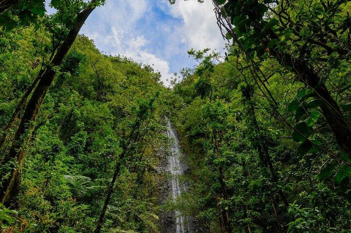 Diamond Head og Manoa Falls vandre- og eventyrtur
