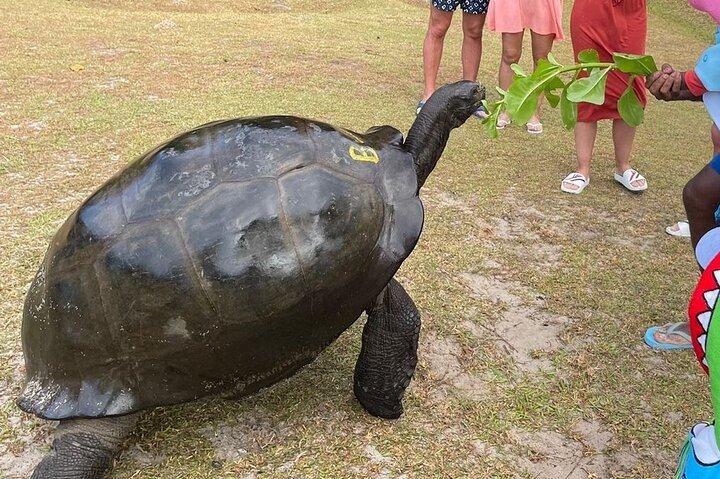 Serviço de Omnibus em Seychelles
