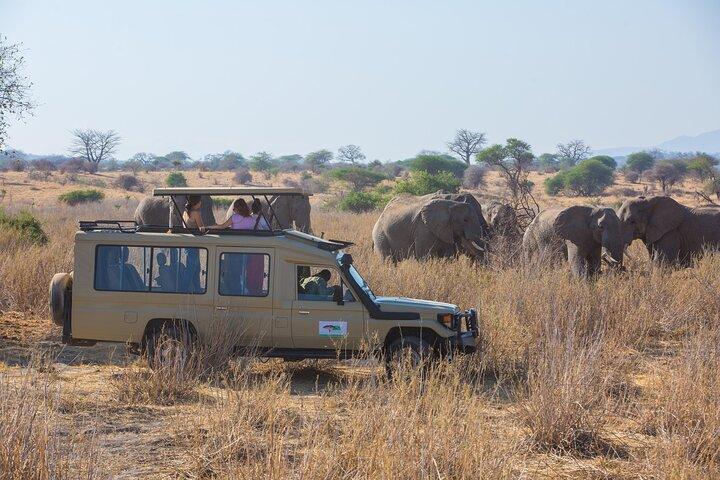 6 Días Safari Privado Tarangire, Serengeti y cráter Ngorongoro