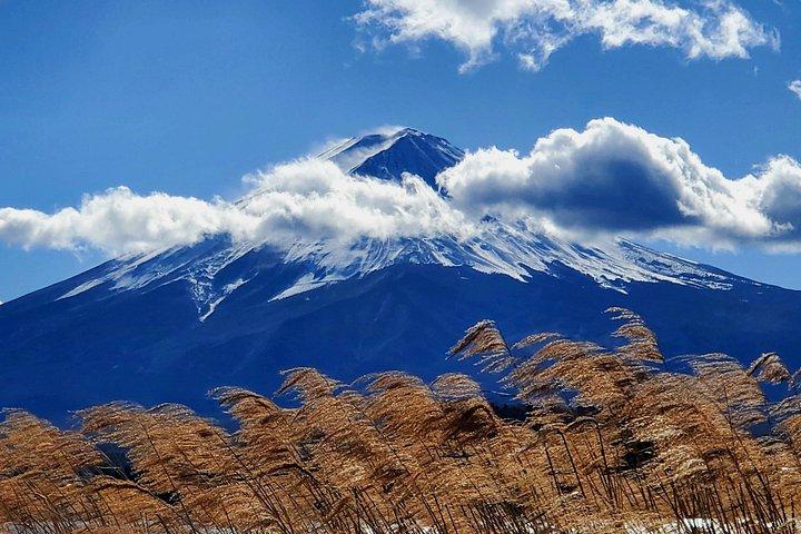 Hakone Full-Day Private Tour from Tokyo (Customizable)