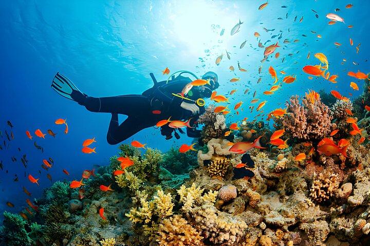 Corso PADI in acque libere con trasferimento - Sharm El Sheikh