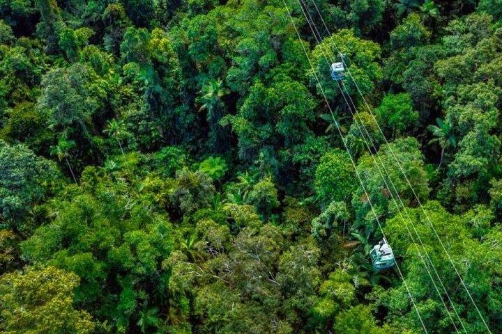 Small Group Waterfall Wetlands+ Skyrail All Inclusive from Cairns