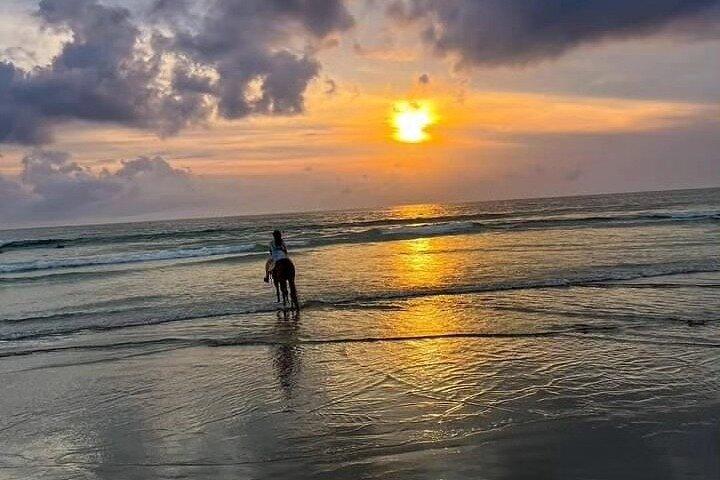 Seminyak Bali Horse Back Esperienza privata di equitazione