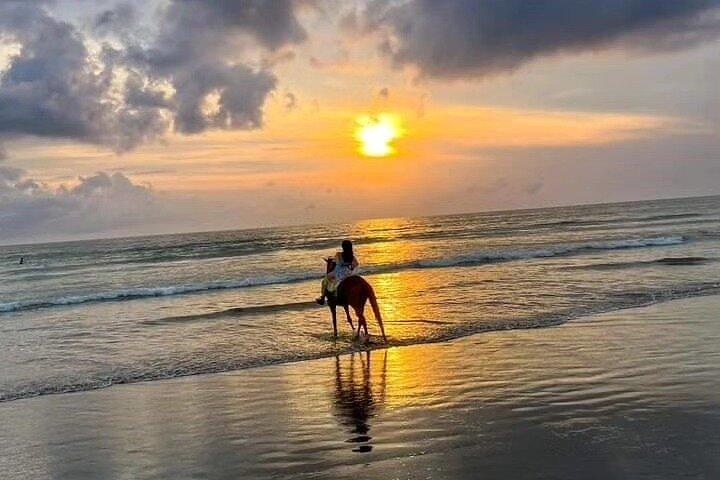 Seminyak Bali Horse Back Esperienza privata di equitazione