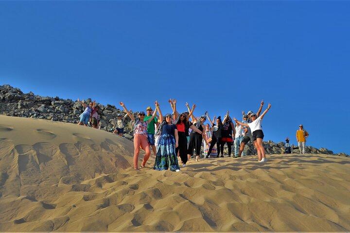 Sharm El-Sheikh : Desert Buggy Safari Adventure