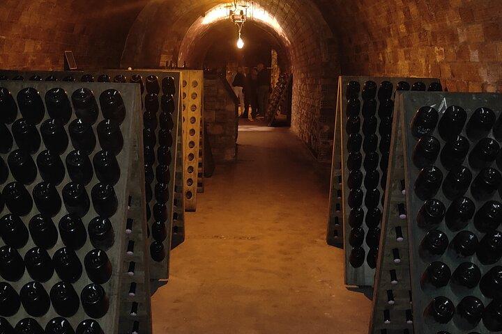 Weinkellerbesichtigung und Weinprobe mit Spaziergang durch die Weinberge