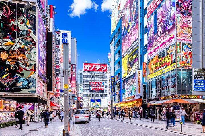 Tóquio: Explorando Anime & Electronics Tour em Akihabara