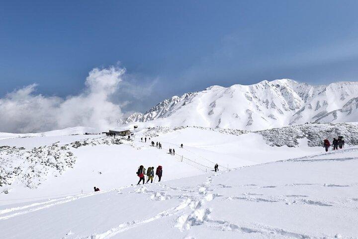 Excursion d'une journée au départ de Kanazawa OU Toyama: Mur de neige et vallée mystérieuse