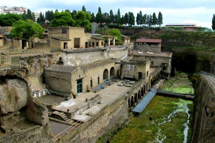 Herculaneum: 2h Group Guided Tour + tkt with a certified guide