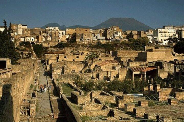 Herculaneum: 2h Group Guided Tour + tkt with a certified guide