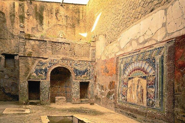 Herculaneum: 2h Group Guided Tour + tkt with a certified guide