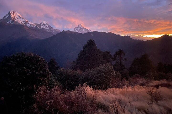 Pokhara: 4-tägiger Poon Hill- und Ghandruk-Trek