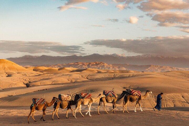 Desert Agafay Dinner Show and Camel Ride with Magical view