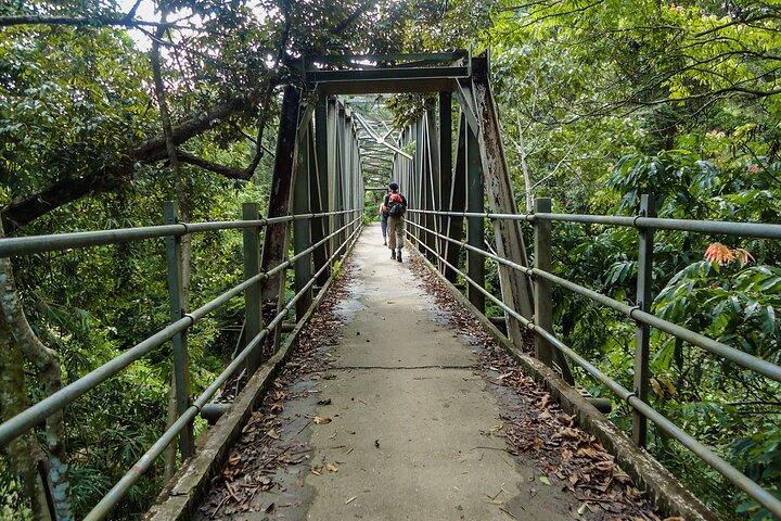 Sinharaja Rainforest Private Half Day Tour with Licensed Guide