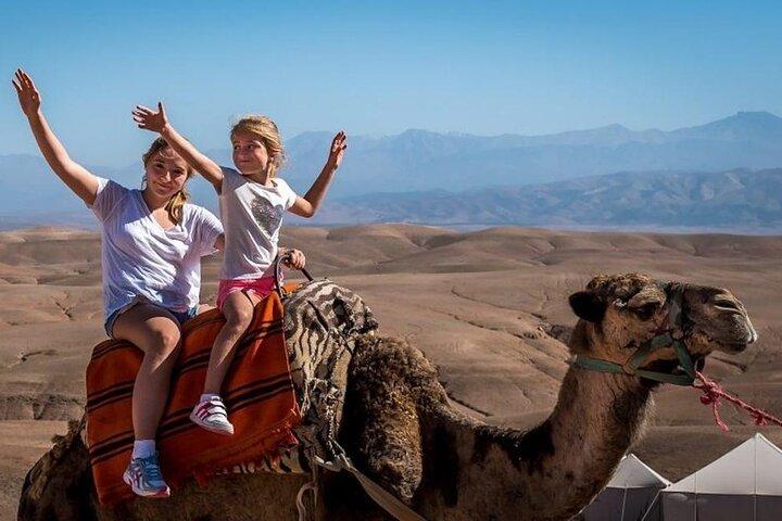 Desert Agafay Dinner Show and Camel Ride with Magical view