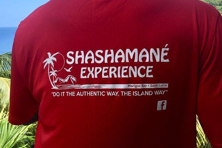 シャシャマネ体験プライベートボートチャーターマリゴットベイストルシア