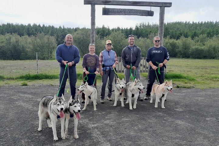 Vandring med Husky i Akureyri