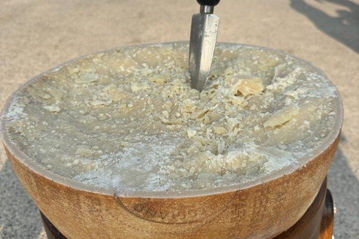 De Bolonha: Excursão Queijo Parmesão e Vinagre Balsâmico + Almoço