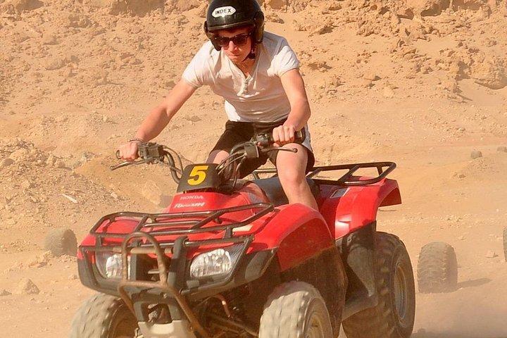マルサ アラム発、ATV クワッドとラクダ乗りによる 1 日サファリ