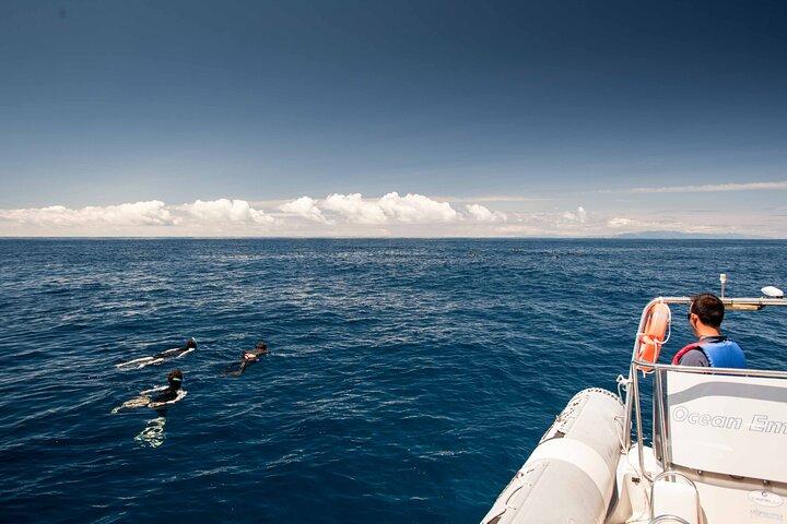 Île Terceira : Plongée en apnée | Aires protégées