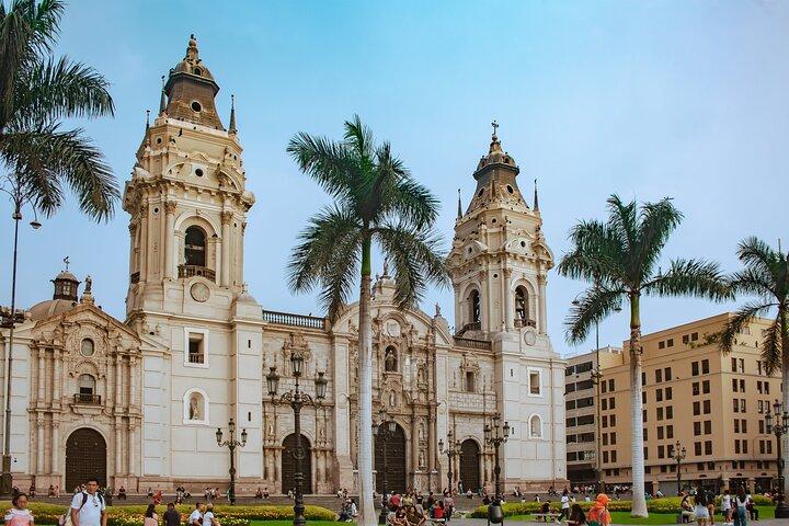 Dagstur til Paracas, Ica og Huacachina fra Lima | Mini-Galapagos