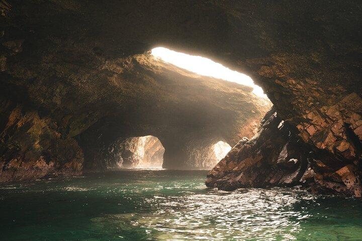 Dagstur til Paracas, Ica og Huacachina fra Lima | Mini-Galapagos
