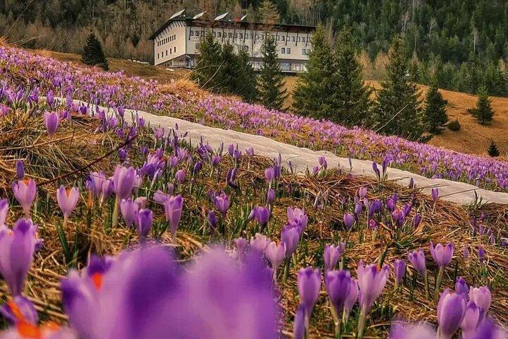Private Tour von Krakau nach Zakopane und in die Tatra