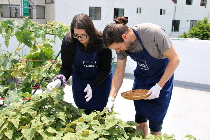 Vegan Friendly Korean Food Cooking Class