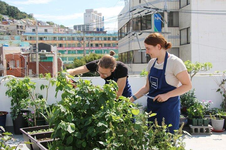 Vegansk venlig koreansk madlavningskursus