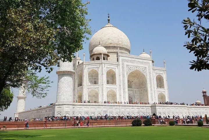 Sunrise Taj Mahal Agra Fort Day Guida Tour in auto da Agra