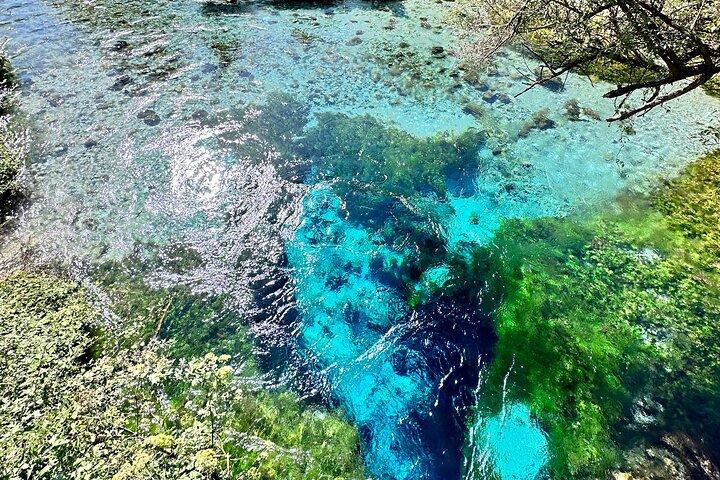 Blue Eye e Gjirokaster, tour di mezza giornata con cibo e bevande