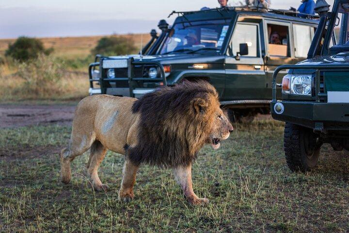 Safari de 9 días en los majestuosos parques de Tanzania