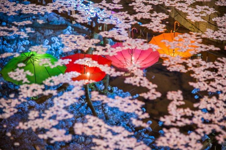 Jinhae Gunhangje-nachttour