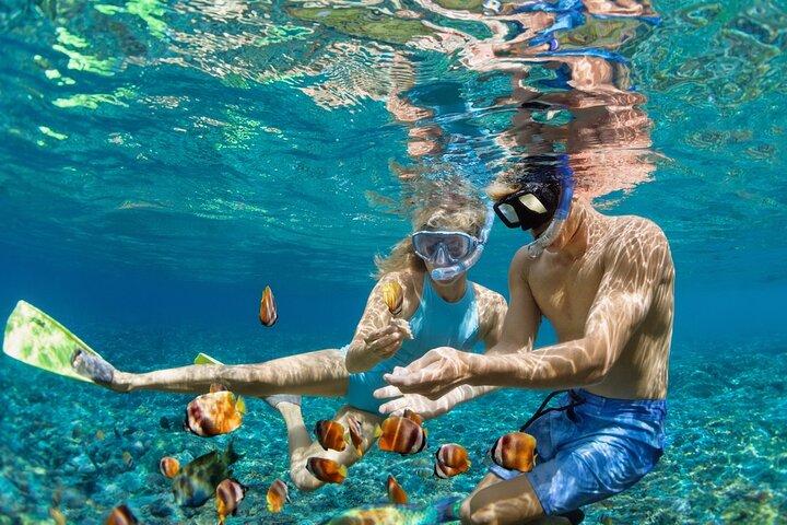 Daymaniyat Island Snorkeling con almuerzo picnic