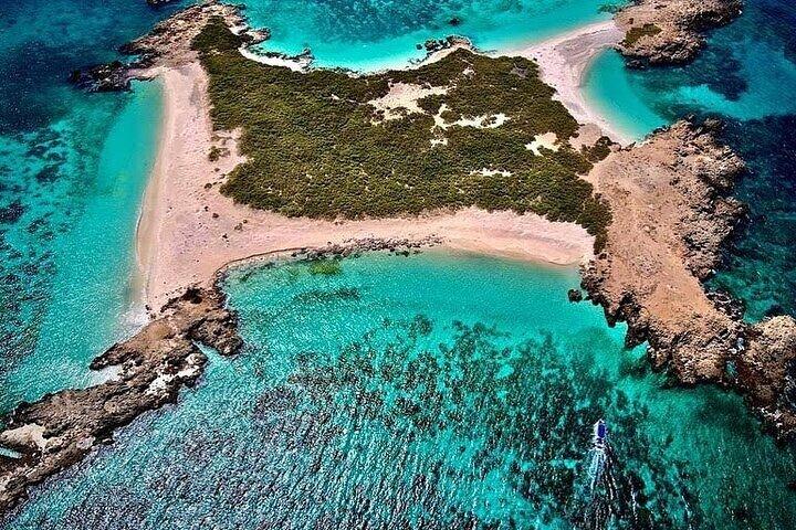 Daymaniyat Island Snorkeling con almuerzo picnic