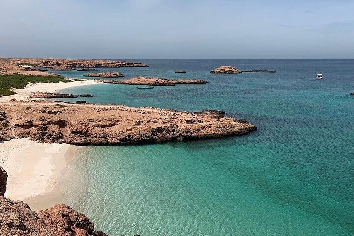 Daymaniyat Island Snorkeling con almuerzo picnic