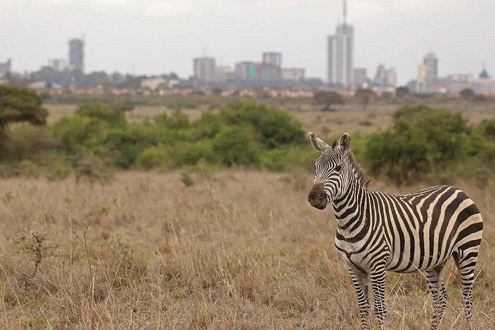 Private Historical Walking Tour in Innercity Nairobi