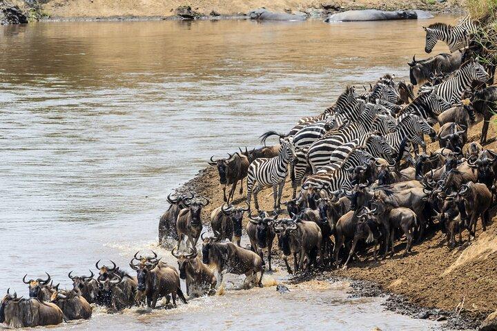 Circuito do Norte Safari: 7Days from Arusha - Os melhores parques da Tanzânia