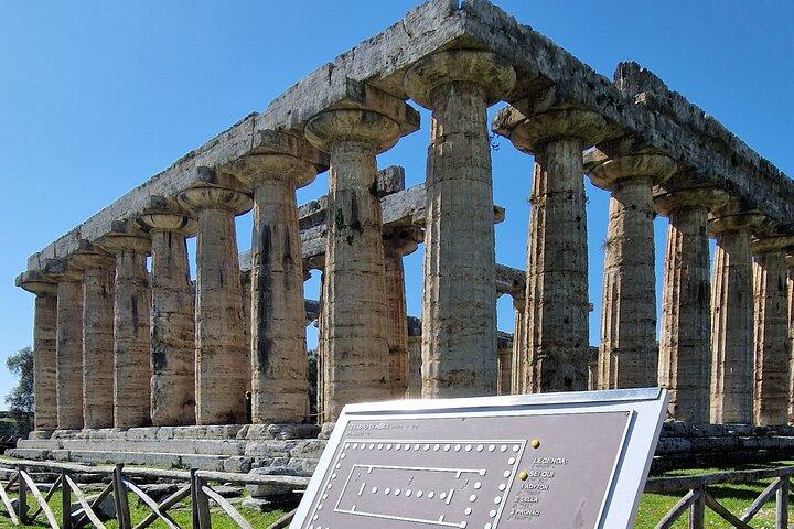 Visite privée d'une demi-journée aux temples de Paestum