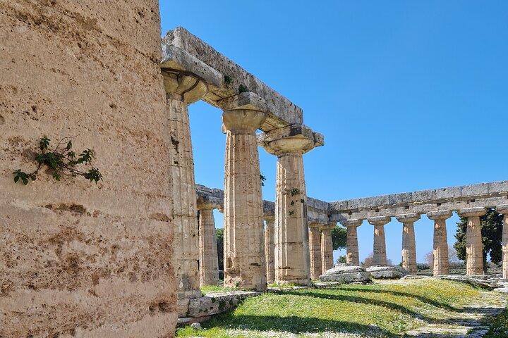 Tour privado de medio día a los templos de Paestum