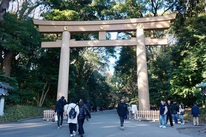 Excursão a pé em Tóquio: Santuário Meiji, Harajuku & Shibuya Crossing