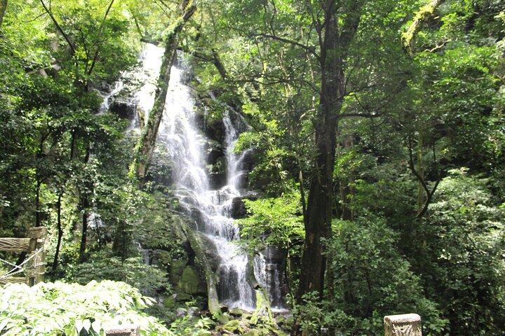 Trailliefhebbers: vulkaan Rincon de la Vieja en waterval La Leona