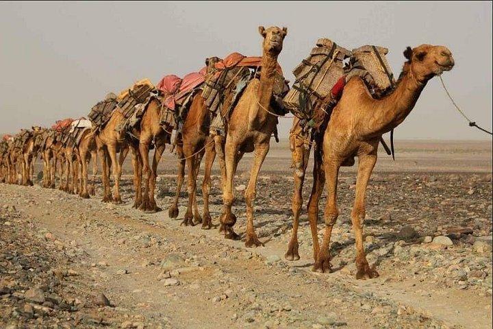3 Day Danakil Depression and Ertale Volcano Shared Tour