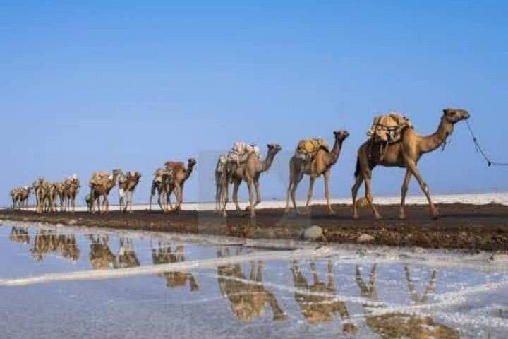 3 Day Danakil Depression and Ertale Volcano Shared Tour