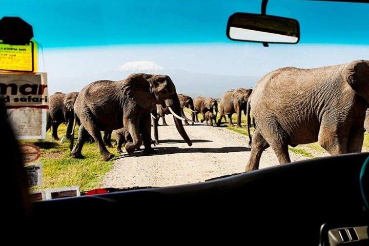 Pernottamento Safari nel Parco Nazionale Amboseli da Nairobi