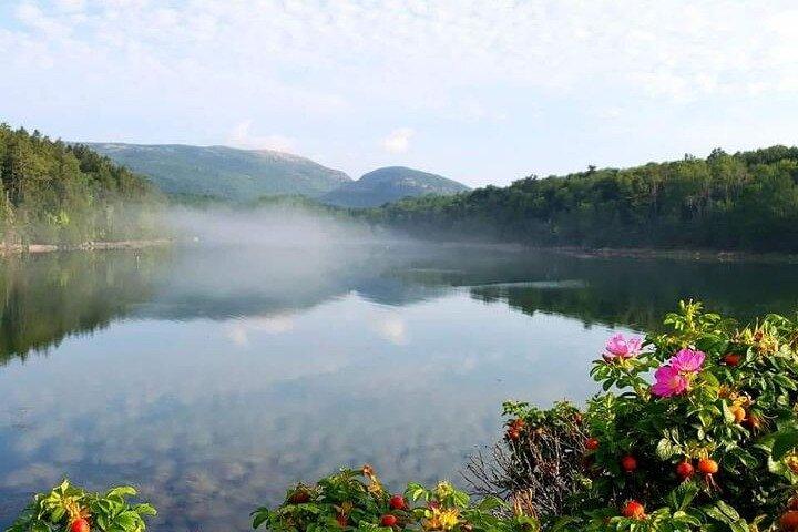 Visite privée de 4 heures en Acadie Cadillac Mountain & Somes Sound Fiord