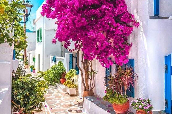 Mykonian Mosaic: First-Time Cruiser's Adventure