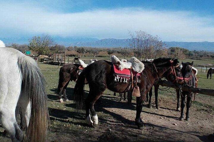 Horseback Riding with Gauchos and Native Empanadas in Mendoza