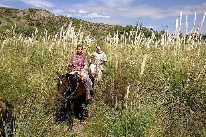 Horseback Riding with Gauchos and Native Empanadas in Mendoza
